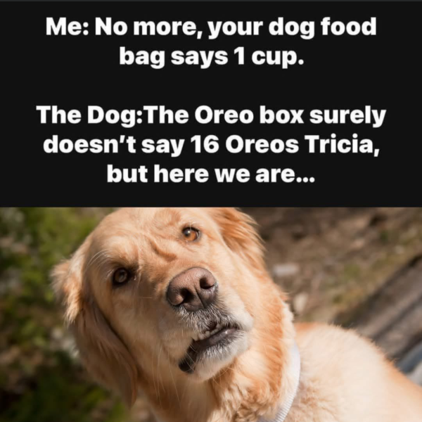 1737806061755.png