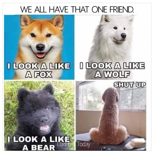 1737806418785.png