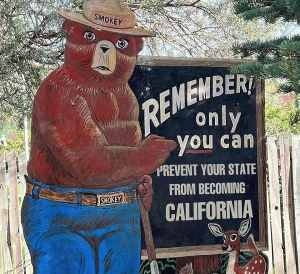 1737893172475.png