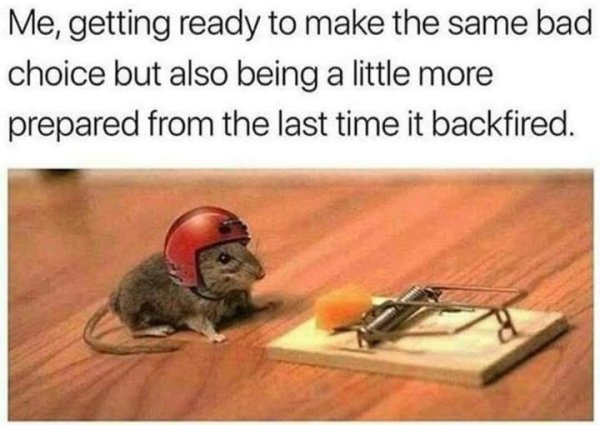1738155134106.jpeg