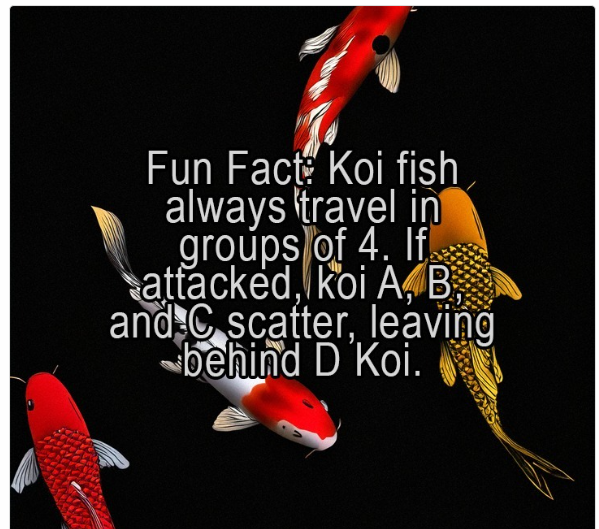 1738238726356.png