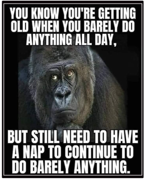 1738326638594.png