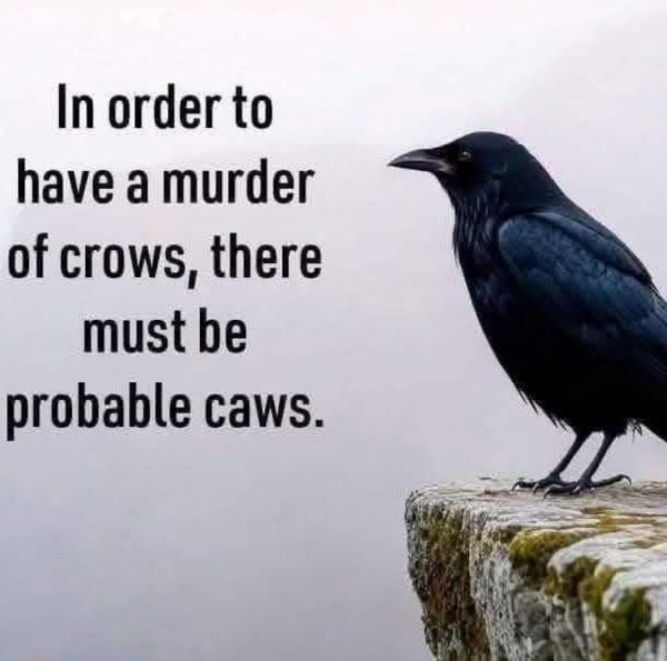 1738369540087.png
