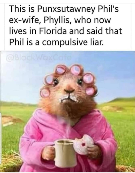 1738586135081.png