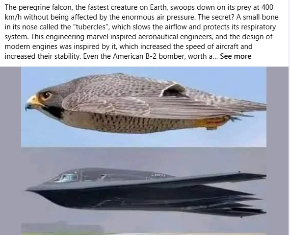 1739045648699.png