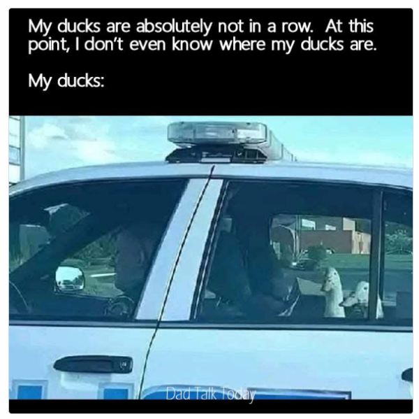 1739106489780.png