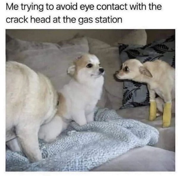 1739452623722.jpeg
