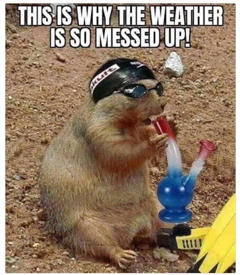 1739531869558.png