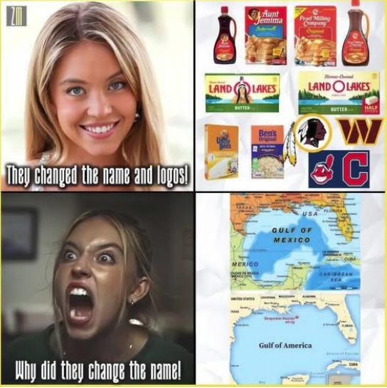 1739626833527.png