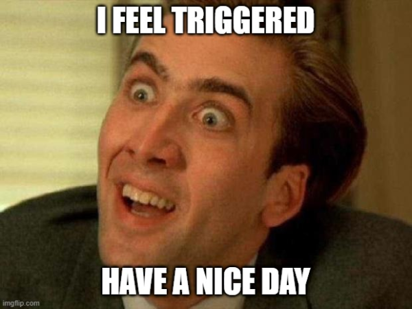 1739807446863.png