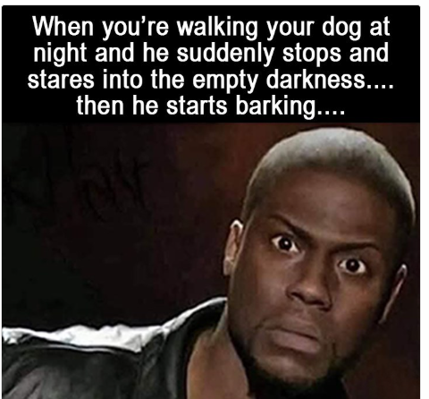 1739874567026.png
