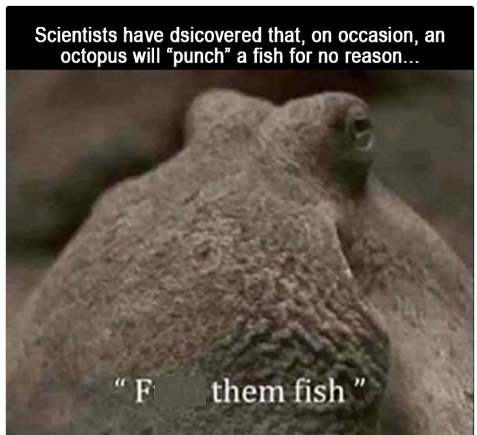 1739874593390.png