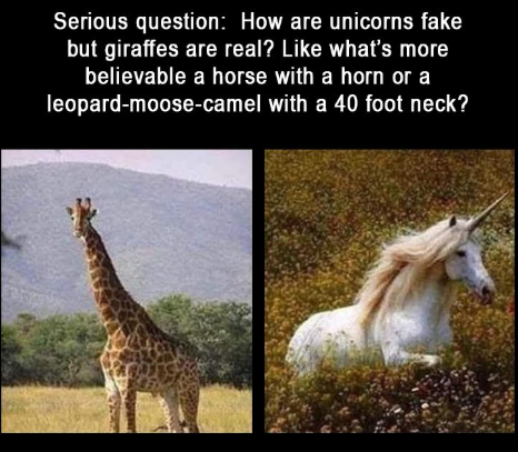 1740306639796.png
