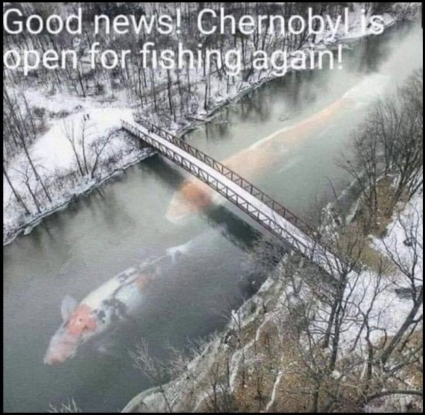 1740408073586.png
