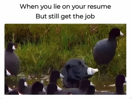1740484656730.png