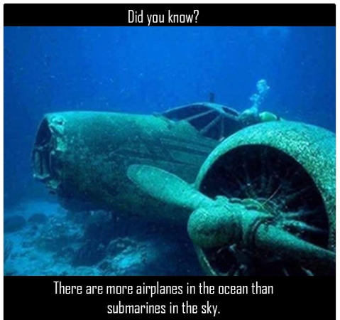 1740657633688.png