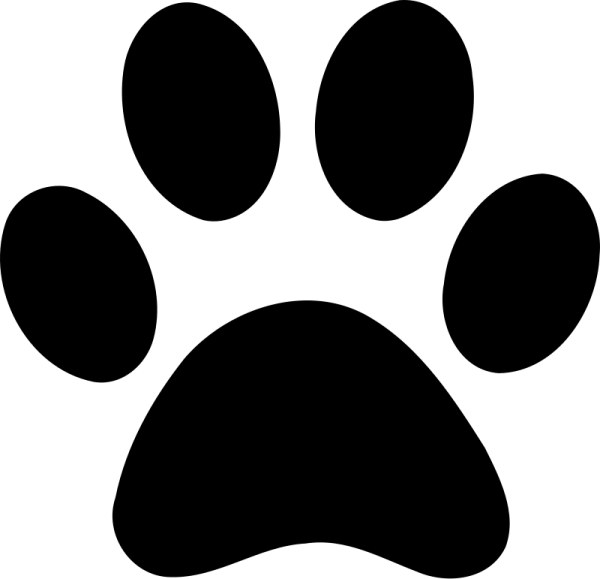 1740785775279.png