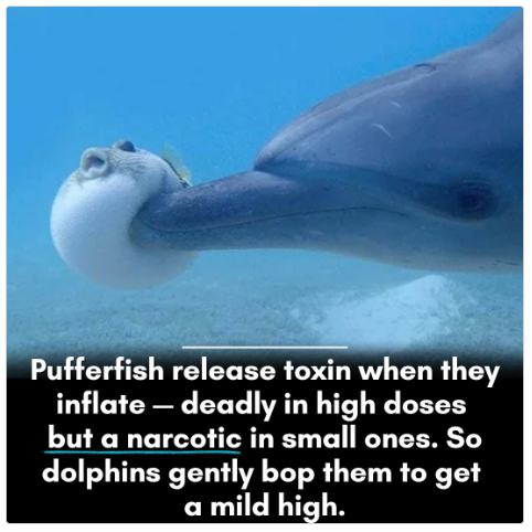 1740829095840.png