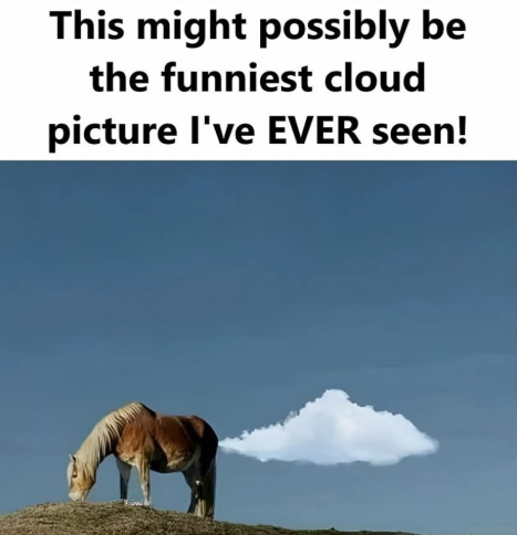 1740913435044.png