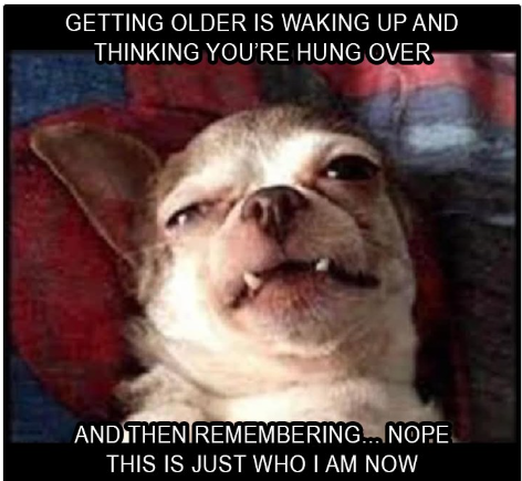 1741261633261.png