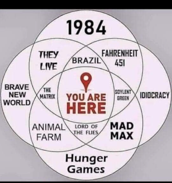 1741344573516.png