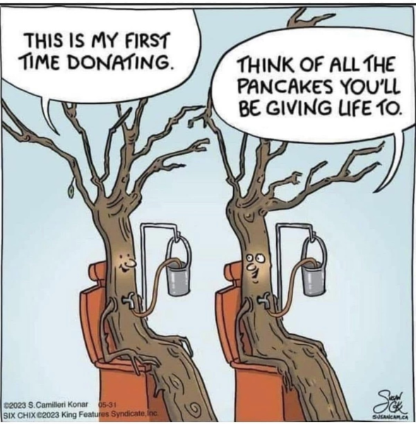 1741605844141.png