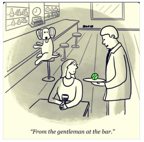 1741606111939.png