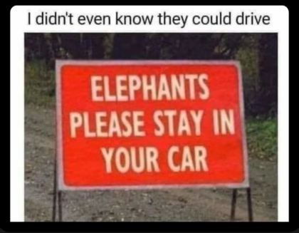 1741606270974.png