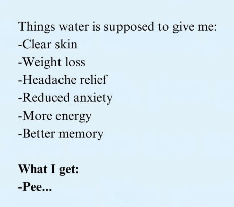 1741774333142.png
