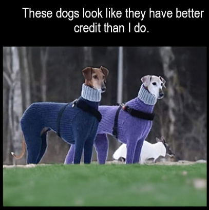 1741859795568.png
