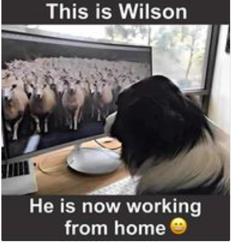 1741859820267.png