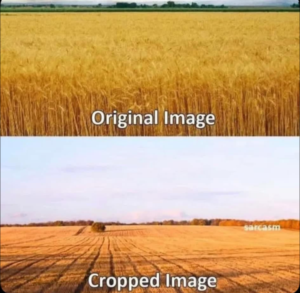 1742033923658.png