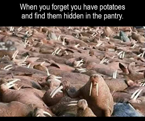 1742120383219.png