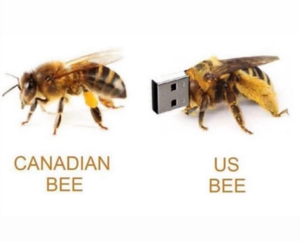 1742209869294.png