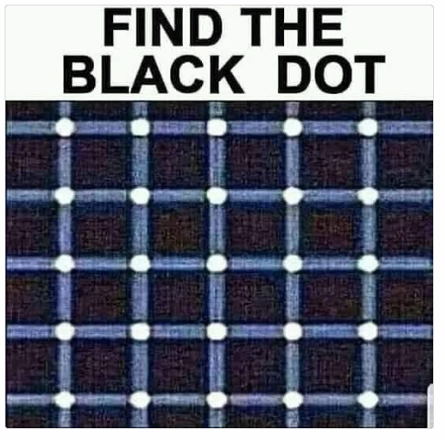 1742465067701.png
