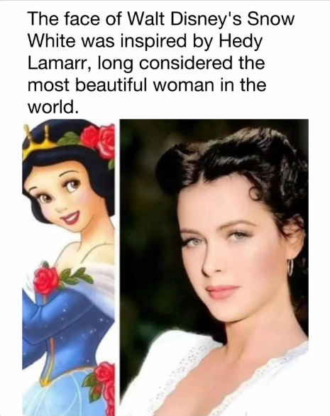 1742553707432.png