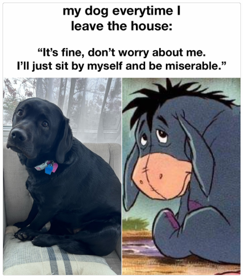 1742554037761.png