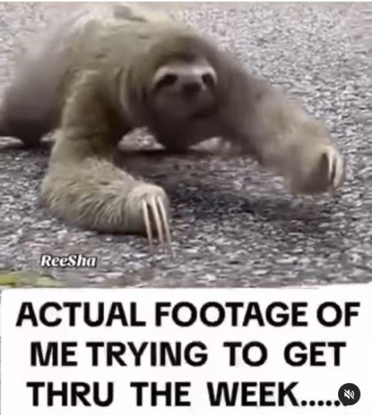 1742637928934.png