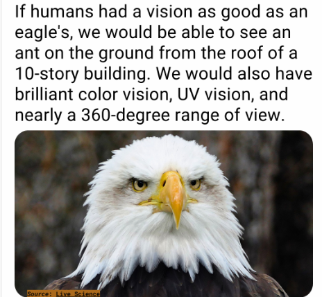 1742727715654.png