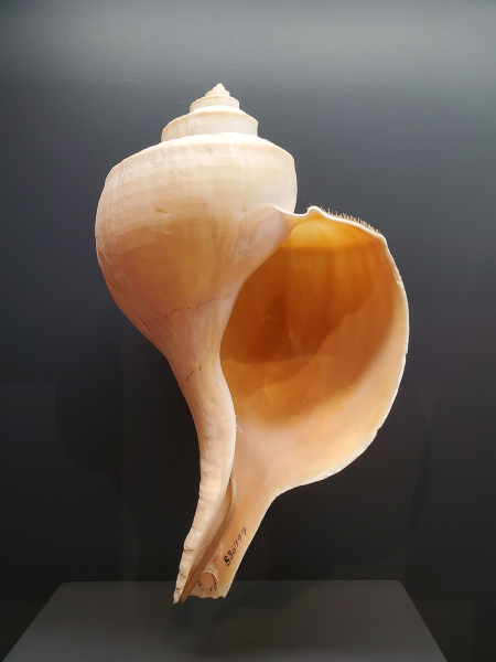 1742819790309.png