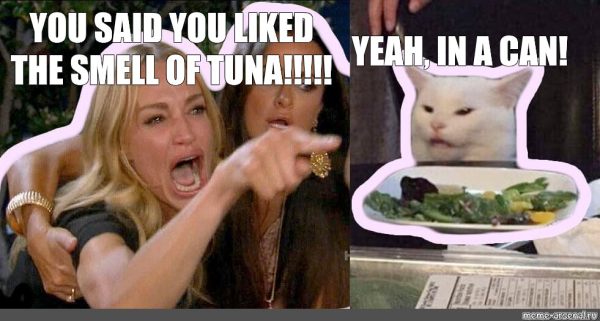 1742830074620.png