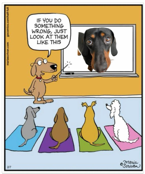 1742899063523.png