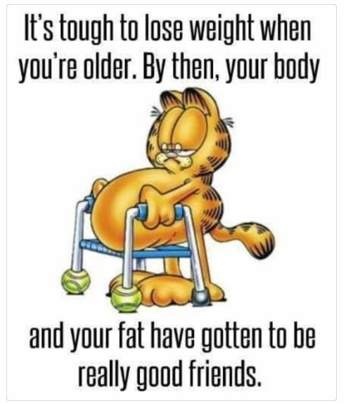 1742899102315.png