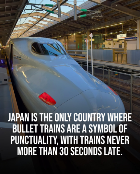 1742984549131.png