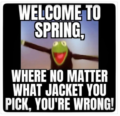 1742984675569.png