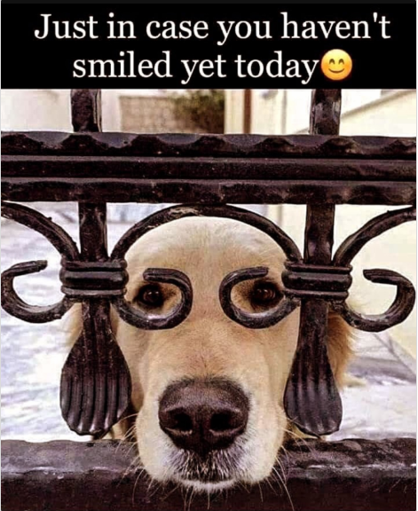 1743071350553.png
