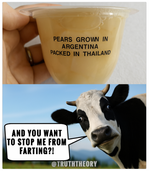 1743245833543.png