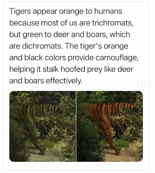 1743761143939.png