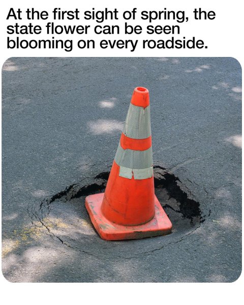 1743811425509.jpeg