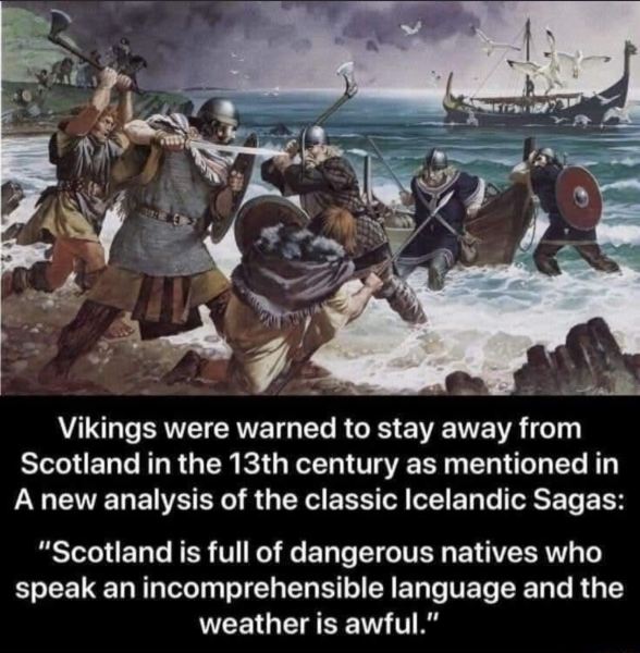 1744200261560.png